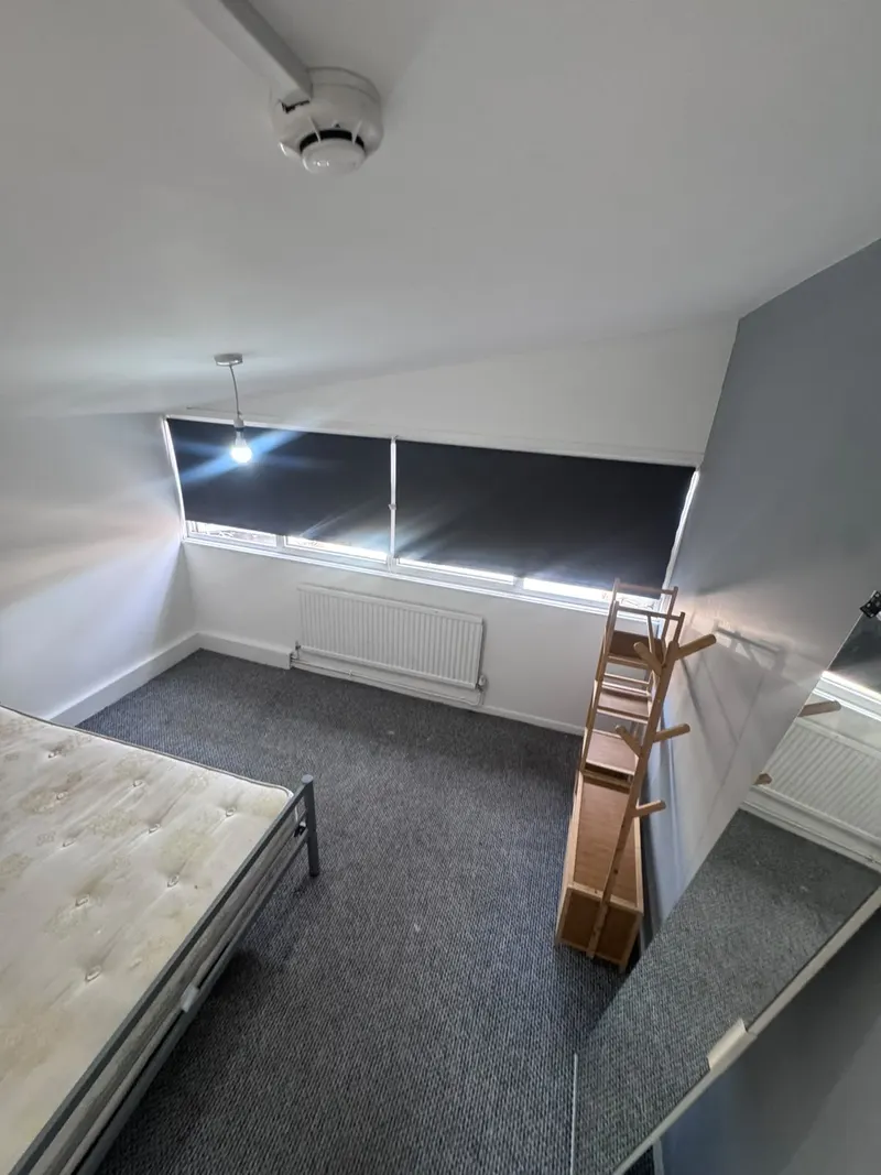 Home cleaning: bedroom with carpet, bed, shelving and a window