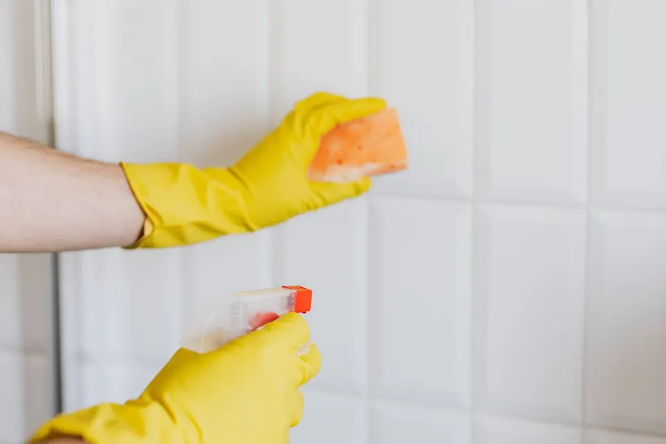 Professional cleaner wiping wall tiles during a home clean